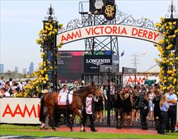 Escado parading before the Derby Escado parading before the Derby
